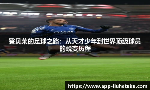 六合图库官网