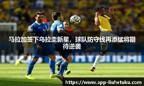 六合图库官网