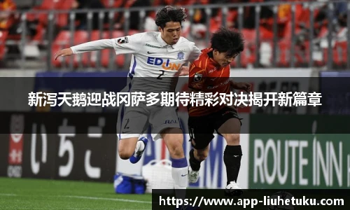 六合图库官网